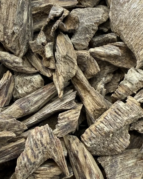 KUDI MURI A