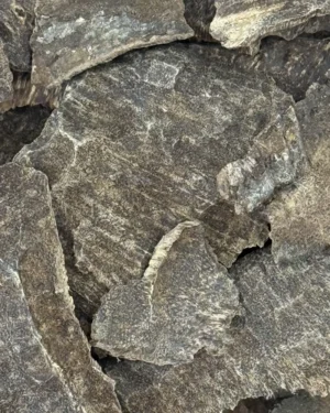 Manipur Char