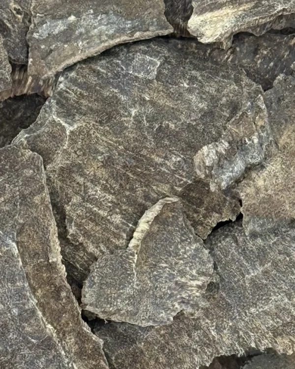 Manipur Char
