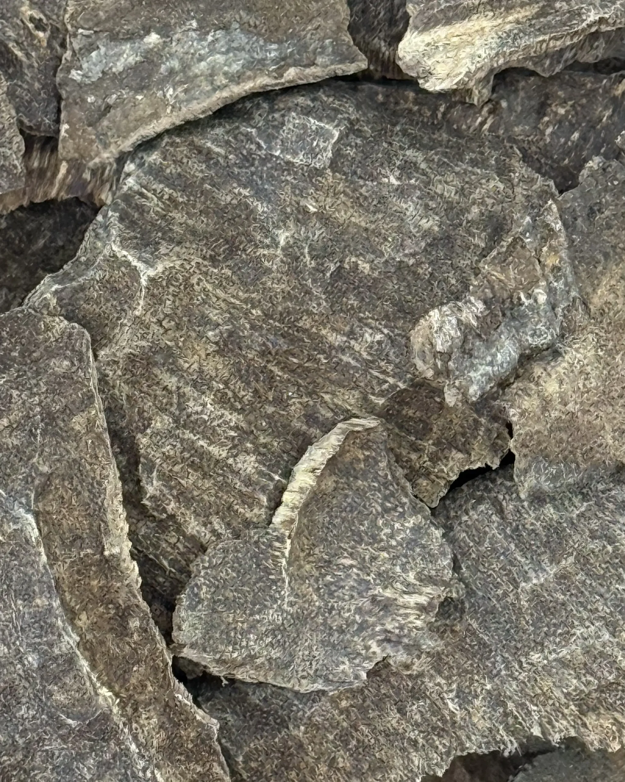 Manipur Char